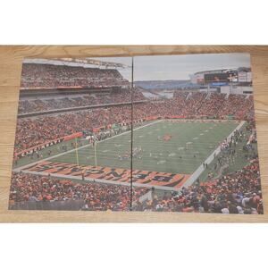 Lot Of 2 Multi-panel Wall Art Paul Brown Stadium, home of the Cincinnati Bengals